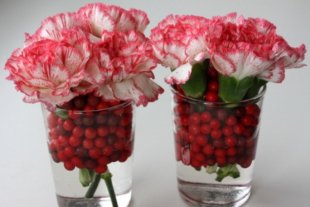 Cranberries and Carnations