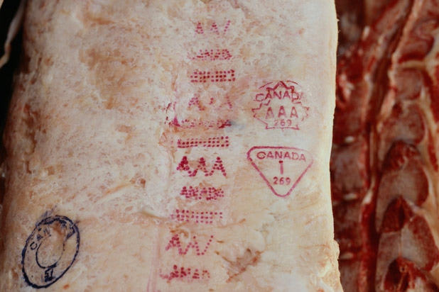 24. Meat Grading