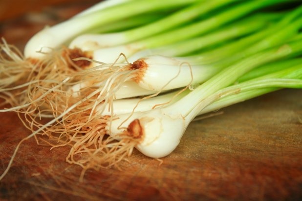 Root Ends of Onions