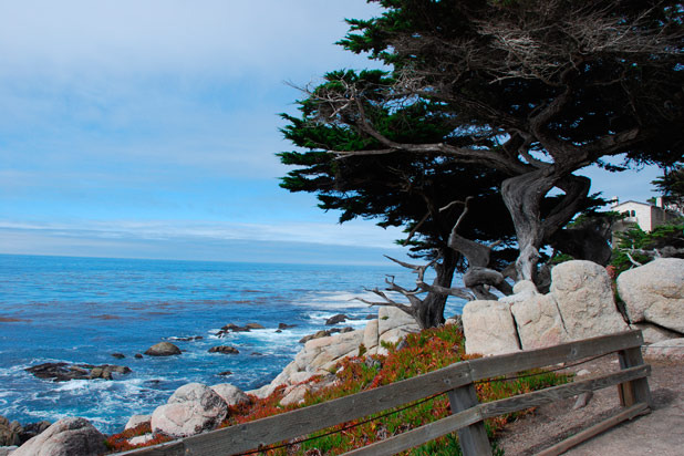 Pebble Beach Food & Wine Festival