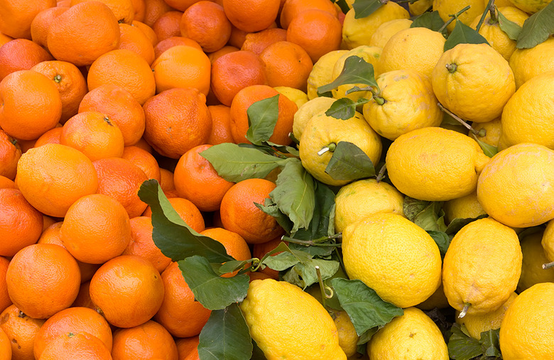 Citrus