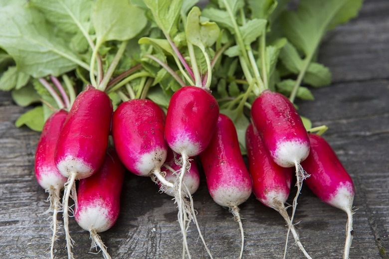 Radishes