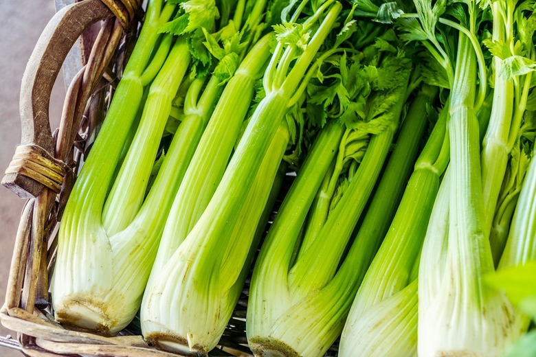 Celery