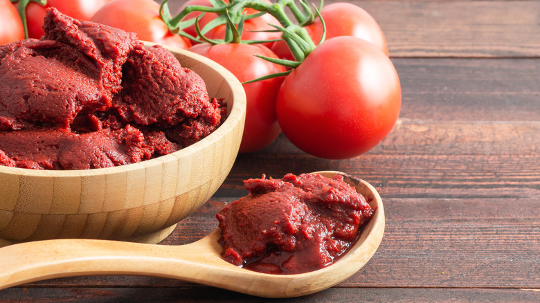 Tomato paste on spoon next to bowl of tomato paste with fresh tomatoes