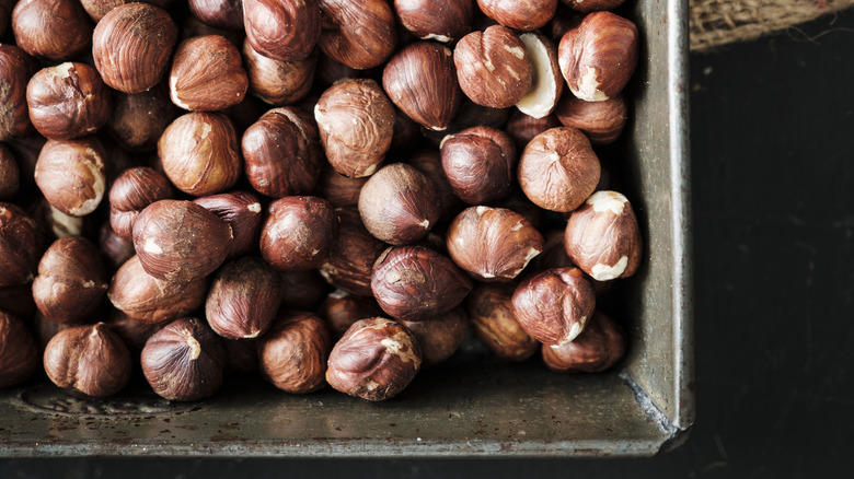 Hazelnuts on a baking sheet