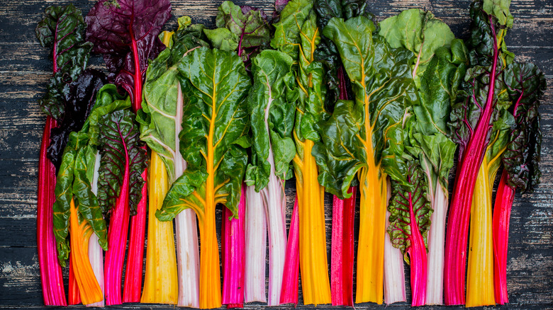 brite lights swiss chard lineup