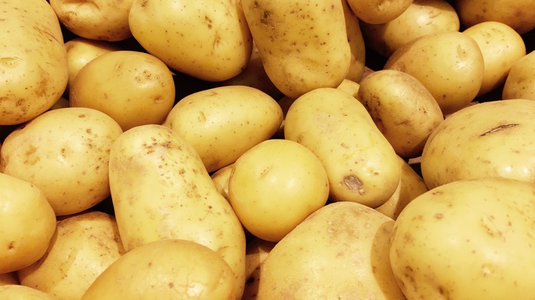 large yellow potatoes