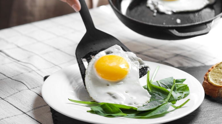 Sunnyside-up egg on a wide spatula