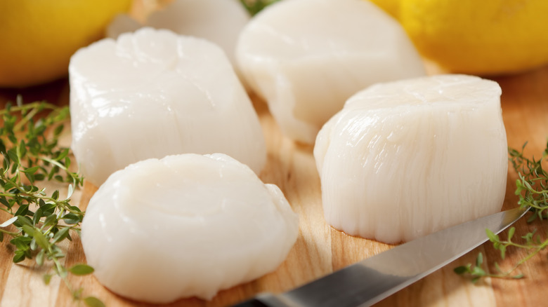 Four raw scallops