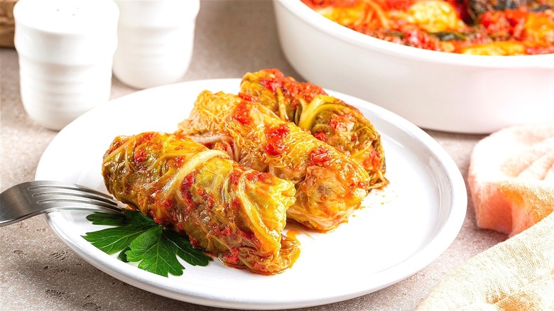 Savoy cabbage rolls on white plate 