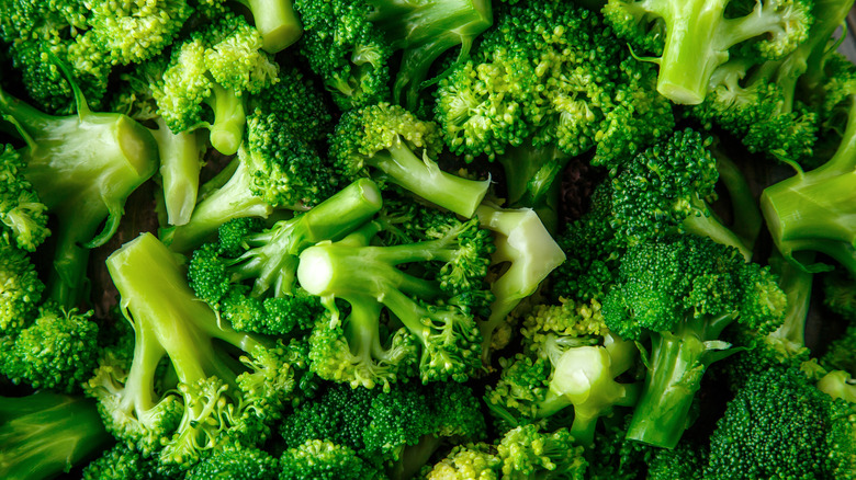 Broccoli in front of camera