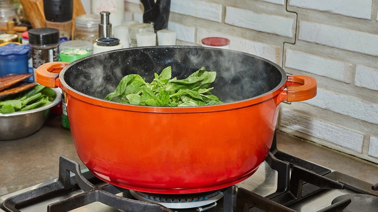 basil leave in pot on stove