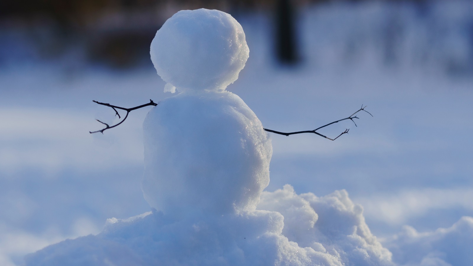 https://www.thedailymeal.com/img/gallery/for-the-fluffiest-pancakes-fold-in-some-clean-snow/l-intro-1669413654.jpg