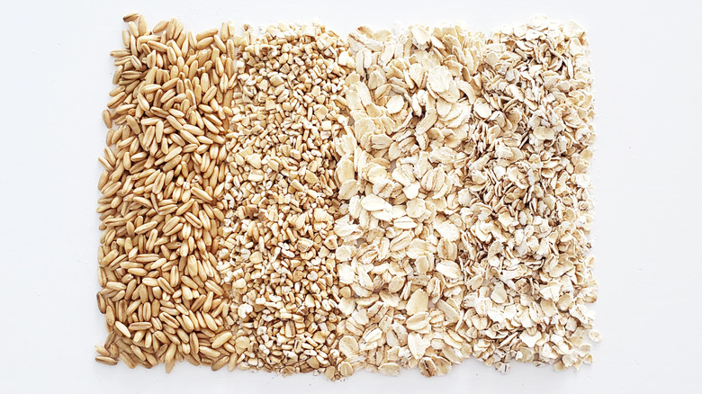 different types of oats 