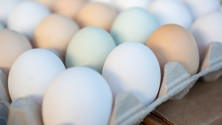 Rows of different colored eggs