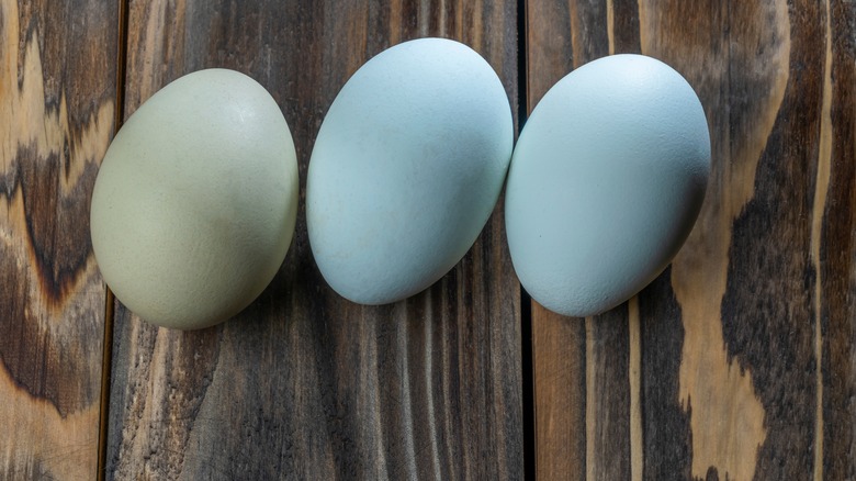 Blue eggs on wood