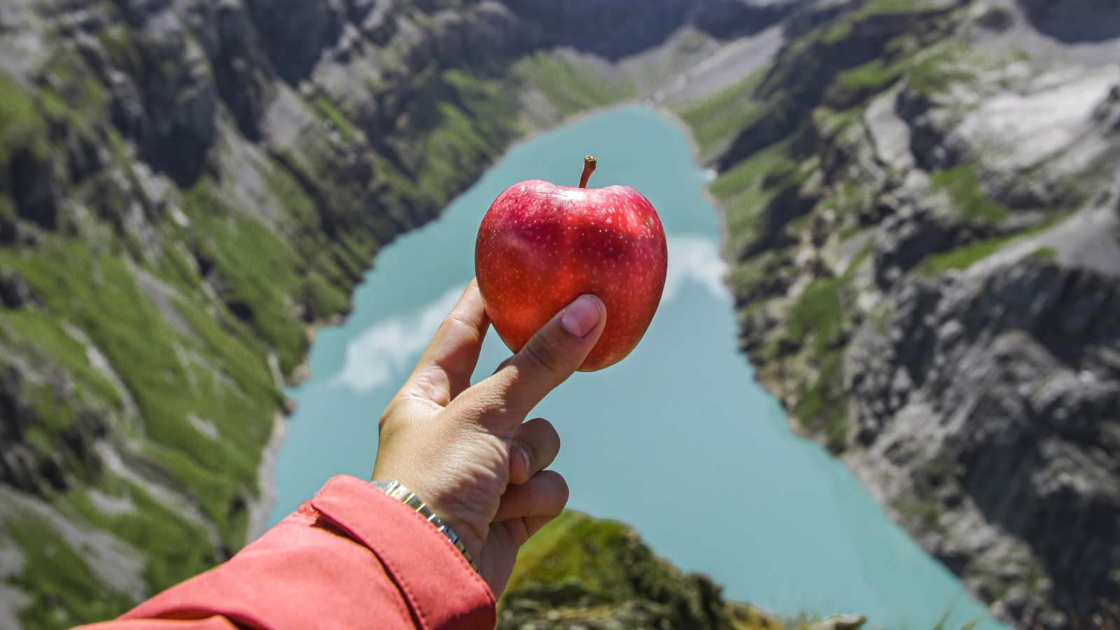 Four Snacks You Should Never Forget To Pack On Your Hike