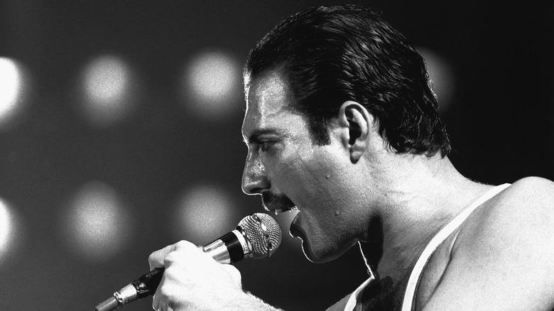 Freddie Mercury's Favorite Dish Was An Indian Classic