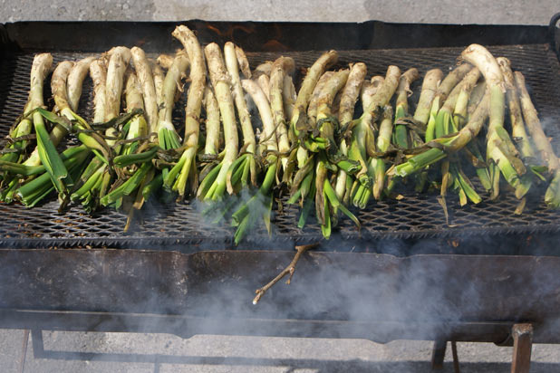 Calçots on the Grill