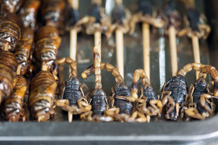 Fried Scorpions (China)