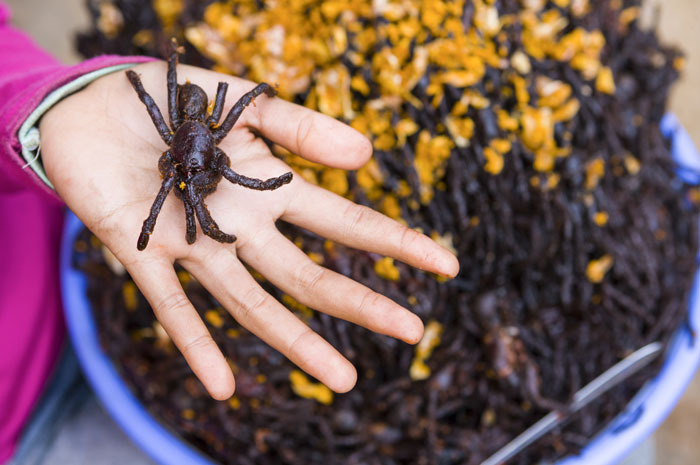 Fried Tarantulas and Other Jaw-Dropping Bug Dishes Around the World