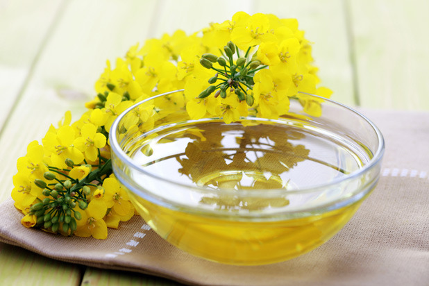 Only Using Canola Oil for Deep-Frying