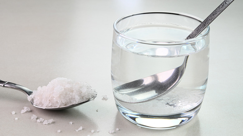 Salt on a spoon next to glass with salt mixed in