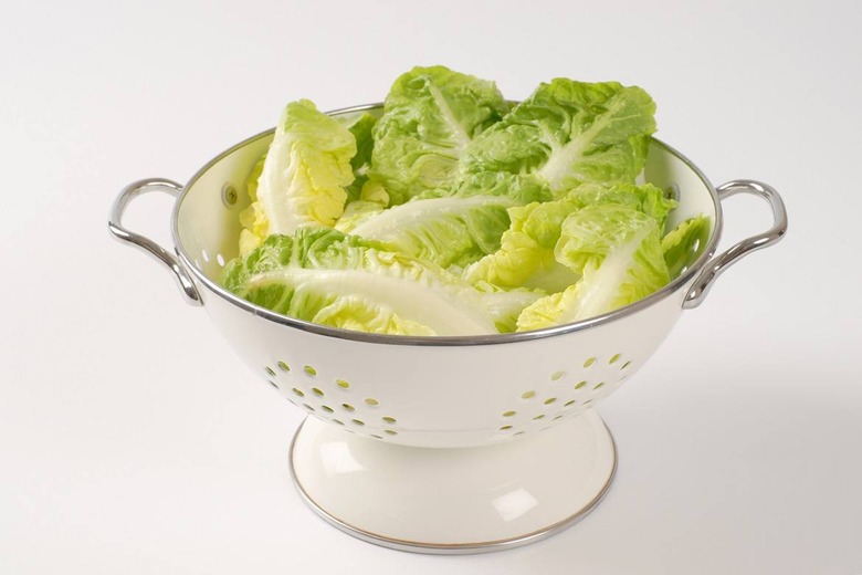 Gem Lettuce