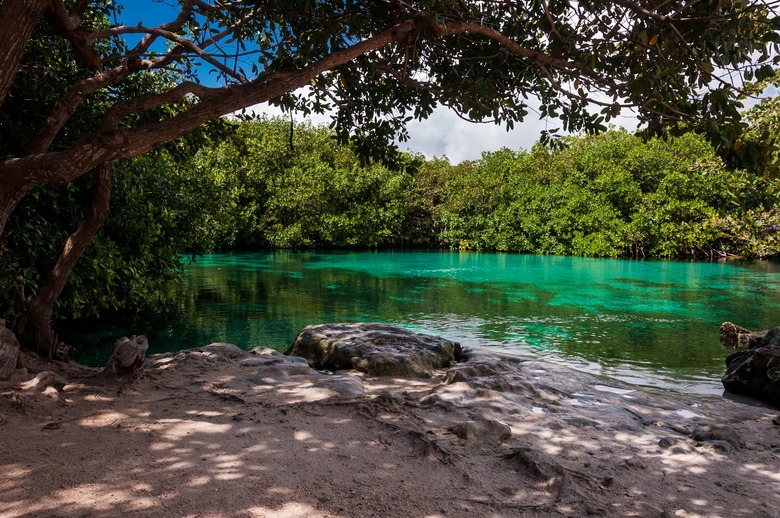 Casa Cenote