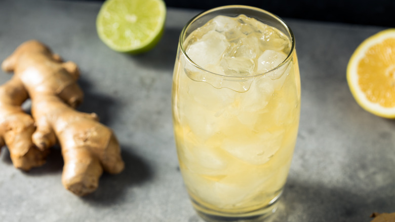 Ginger ale in a glass with fresh ginger and citrus