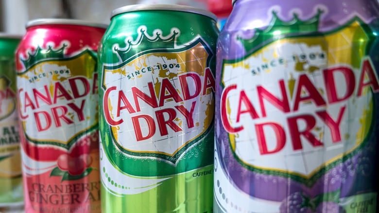 cans of Canada Dry beverages