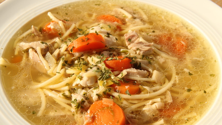 Chicken noodle soup