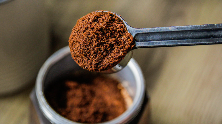 Ground coffee powder in spoon