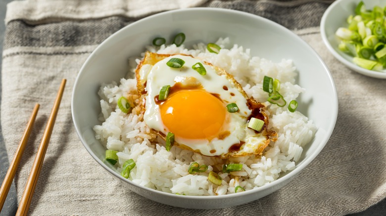 fried egg and rice