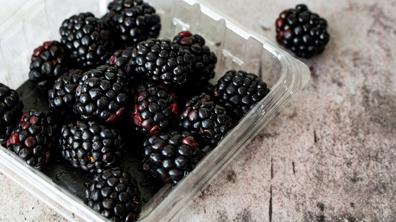 clamshell container of blackberries