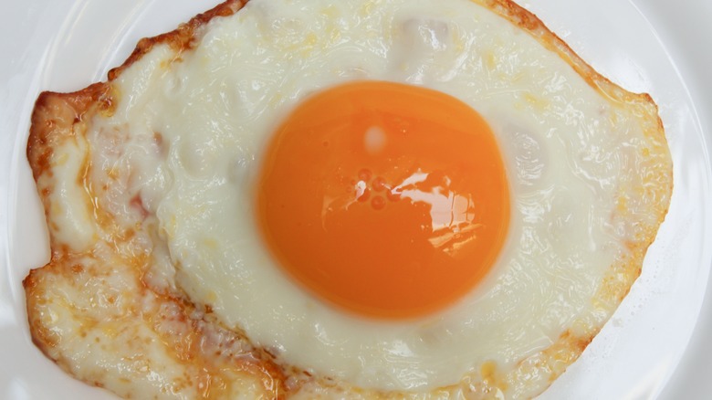 crispy fried egg