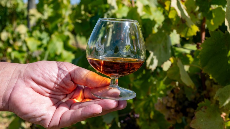 Cognac in snifter in vineyard