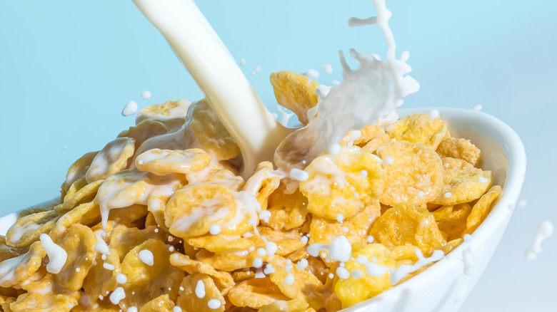 Closeup of milk hitting spoonful of cornflakes