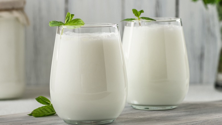 Glasses of milk with mint sprigs