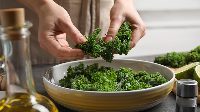 Hands massaging kale leaves