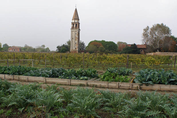 Veggies, vineyard, and tower