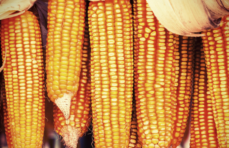 Corn Centerpiece