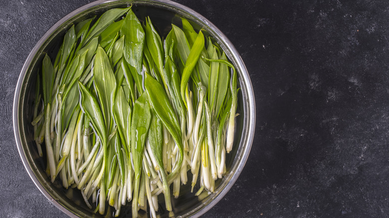 foraged ramps in a water bath