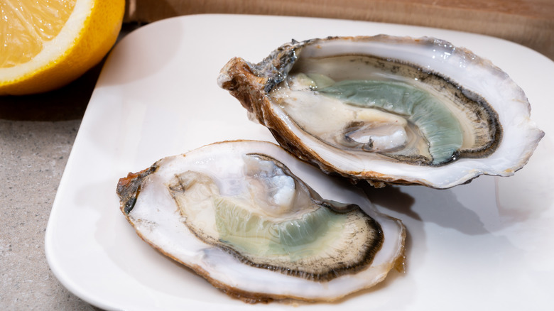 pair of green gill oysters