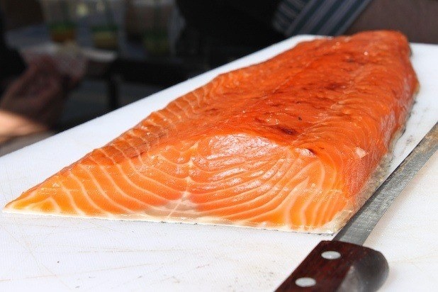 Salmon