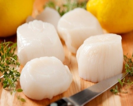 Fresh scallops