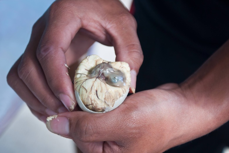 Balut