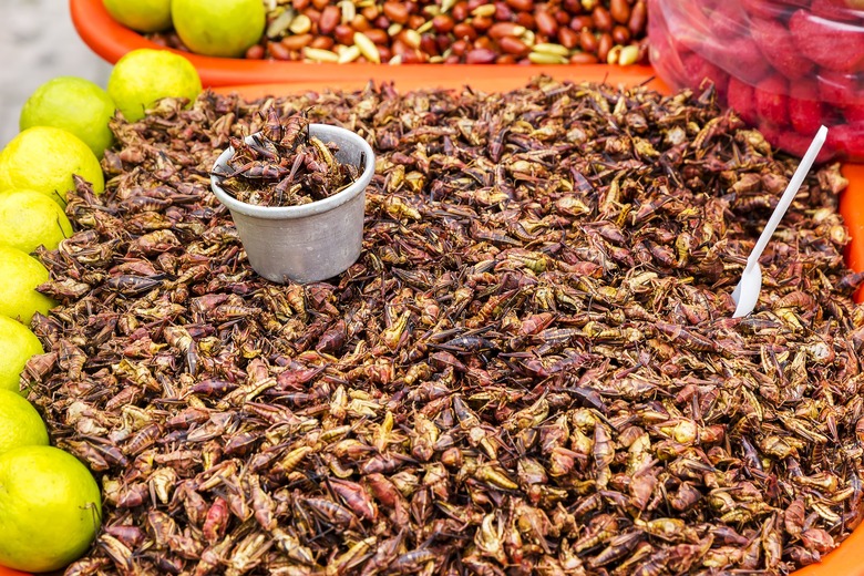 Chapulines 