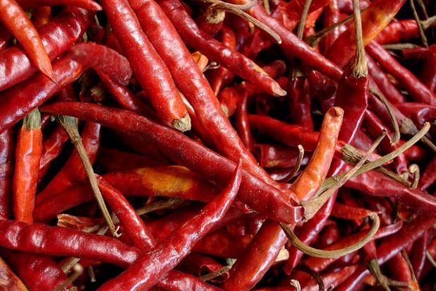 Chile de Arbol