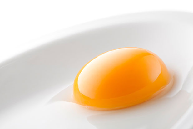 Raw Egg